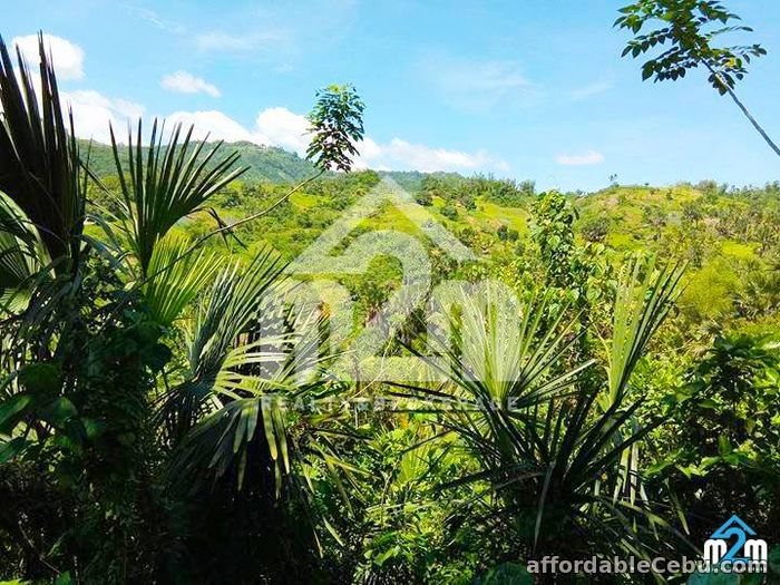 1st picture of Green Valley Heights(LOT ONLY) Babag, Cebu City For Sale in Cebu, Philippines