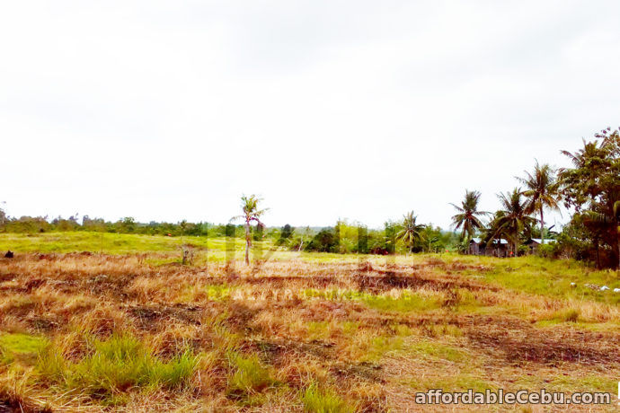 4th picture of Casa Grande Subdivision(Lot Only) Argawanon, San Remigio, Cebu For Sale in Cebu, Philippines