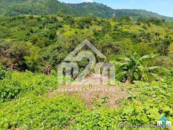 5th picture of Green Valley Heights(LOT ONLY) Babag, Cebu City For Sale in Cebu, Philippines