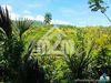 Green Valley Heights(LOT ONLY) Babag, Cebu City