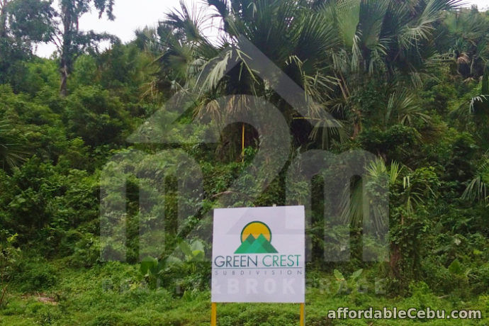 1st picture of Green Crest Subdivision(LOT ONLY) For Sale in Cebu, Philippines