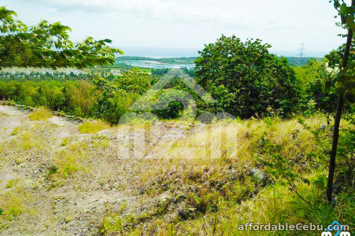 4th picture of Top Ville Subdivision(LOT ONLY) Can-asujan,Carcar, Cebu For Sale in Cebu, Philippines