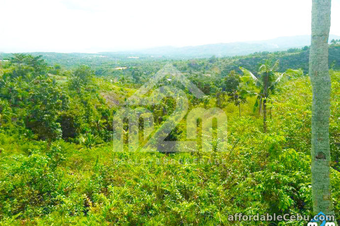 2nd picture of Top Ville Subdivision(LOT ONLY) Can-asujan,Carcar, Cebu For Sale in Cebu, Philippines