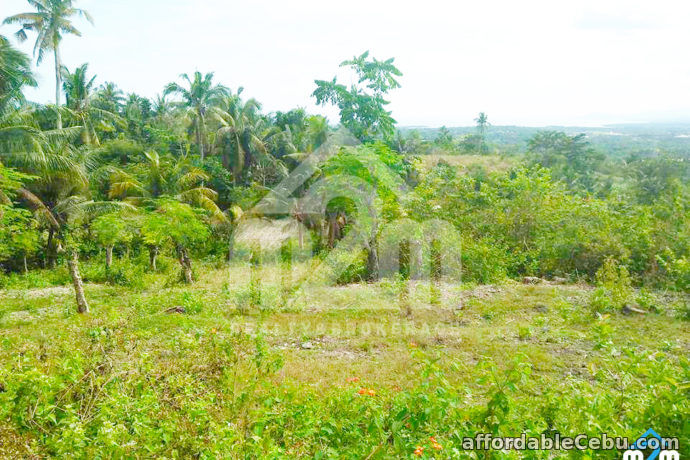 3rd picture of Top Ville Subdivision(LOT ONLY) Can-asujan,Carcar, Cebu For Sale in Cebu, Philippines