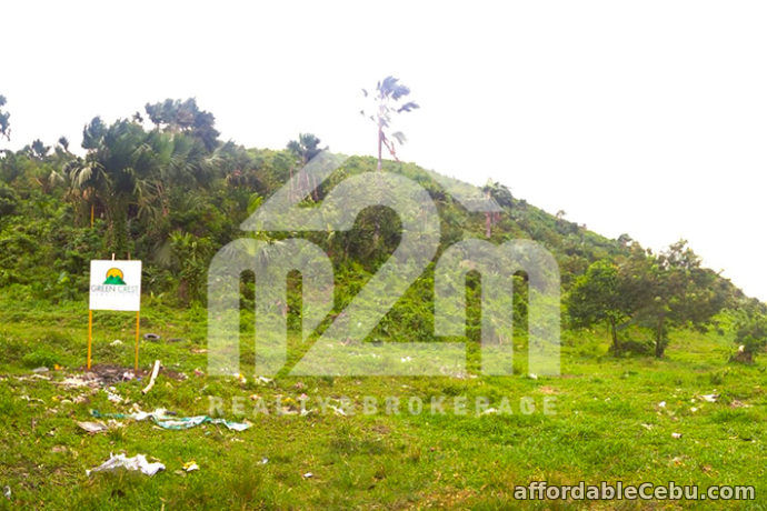 3rd picture of Green Crest Subdivision(LOT ONLY) For Sale in Cebu, Philippines