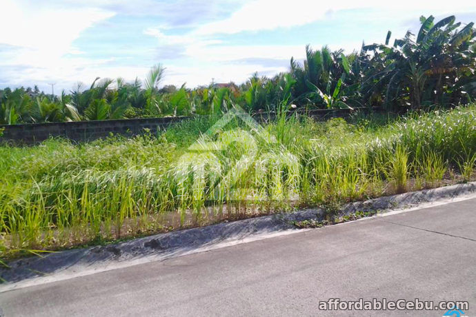 4th picture of Corona Del Mar(LOT ONLY) For Sale in Cebu, Philippines