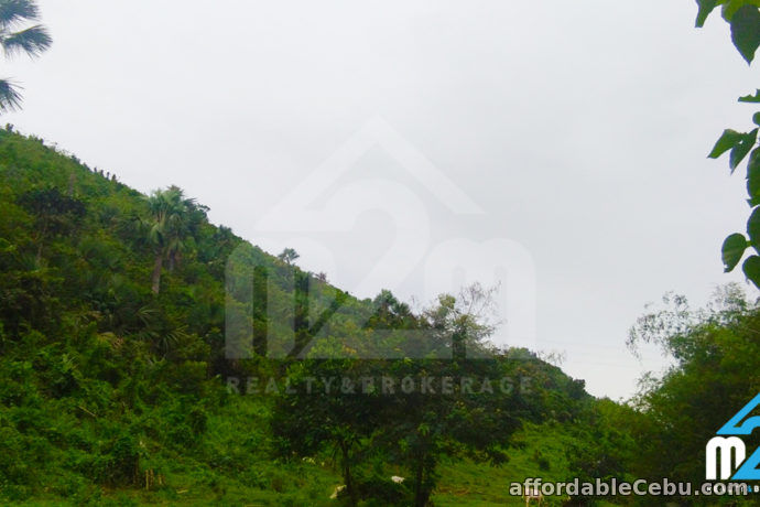 2nd picture of Green Crest Subdivision(LOT ONLY) For Sale in Cebu, Philippines