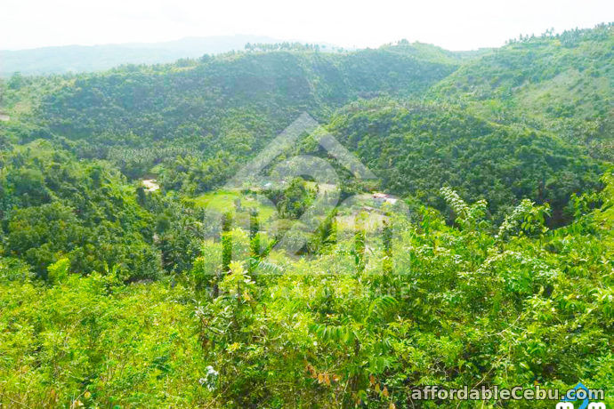 1st picture of Top Ville Subdivision(LOT ONLY) Can-asujan,Carcar, Cebu For Sale in Cebu, Philippines
