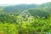 Top Ville Subdivision(LOT ONLY) Can-asujan,Carcar, Cebu