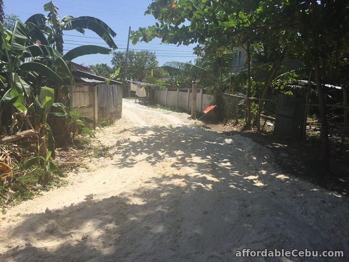 2nd picture of Yuta data-data at Daanbantayan For Sale in Cebu, Philippines