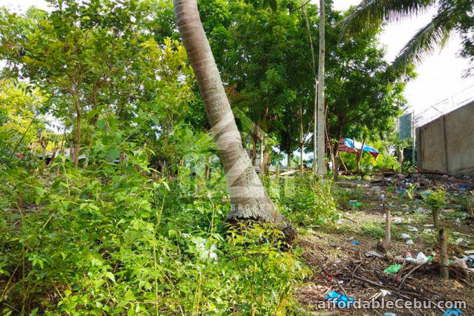 5th picture of Welstand Heights(LOT ONLY) Maghaway, Talisay City, Cebu For Sale in Cebu, Philippines