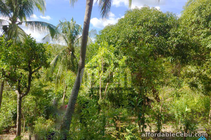 2nd picture of Welstand Heights(LOT ONLY) Maghaway, Talisay City, Cebu For Sale in Cebu, Philippines