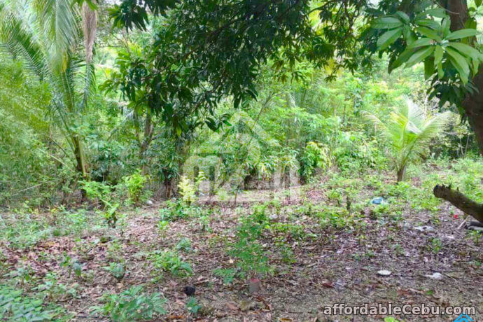 3rd picture of Welstand Heights(LOT ONLY) Maghaway, Talisay City, Cebu For Sale in Cebu, Philippines