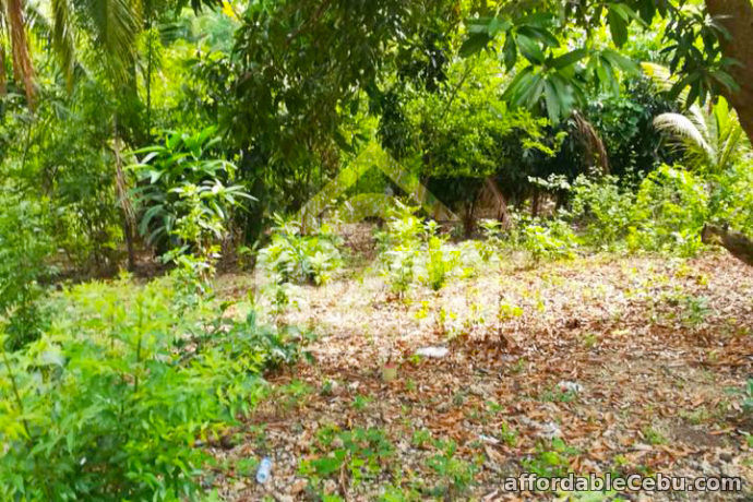 4th picture of Welstand Heights(LOT ONLY) Maghaway, Talisay City, Cebu For Sale in Cebu, Philippines