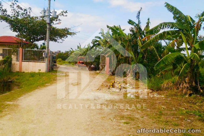 5th picture of Kriscynth Homes(LOT ONLY) Basak Lapu-Lapu City For Sale in Cebu, Philippines