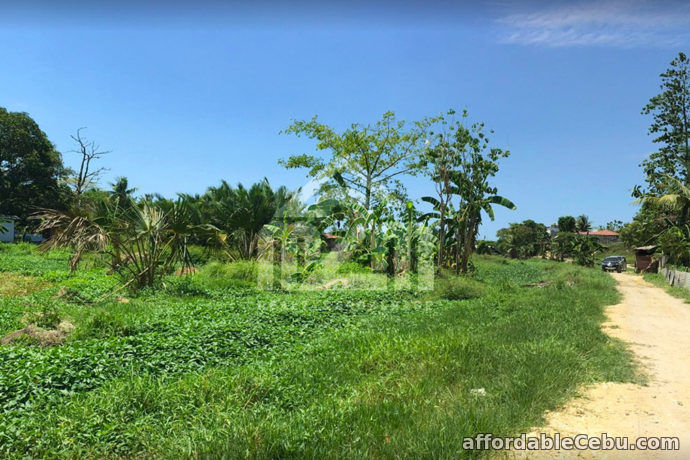 2nd picture of Jordan Avenue 2(LOT ONLY) Brgy. Nangka, Consolacion, Cebu For Sale in Cebu, Philippines