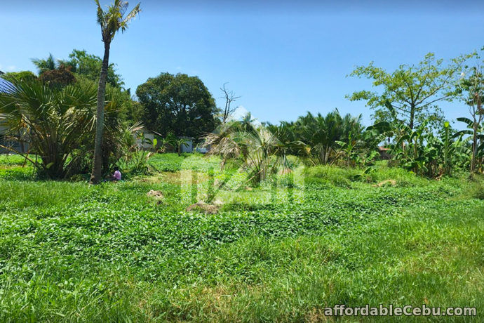 1st picture of Jordan Avenue 2(LOT ONLY) Brgy. Nangka, Consolacion, Cebu For Sale in Cebu, Philippines