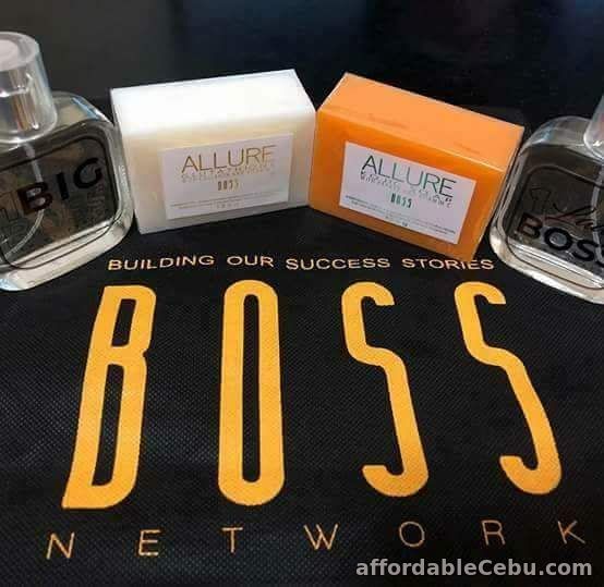 1st picture of Bossnetworkph Offer in Cebu, Philippines