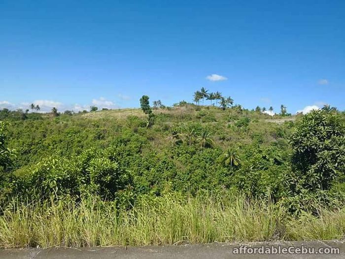 5th picture of Lot for sale For Sale in Cebu, Philippines