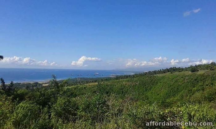 2nd picture of Lot for sale For Sale in Cebu, Philippines