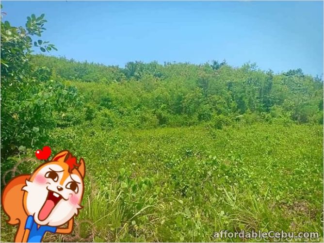 5th picture of lot for sale For Sale in Cebu, Philippines