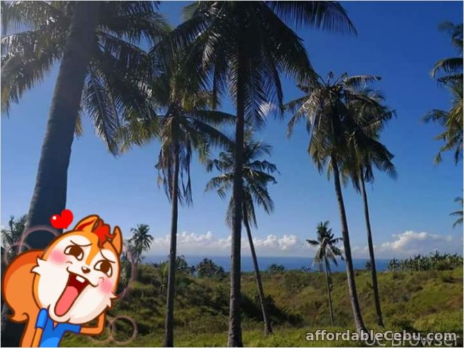 3rd picture of lot for sale For Sale in Cebu, Philippines