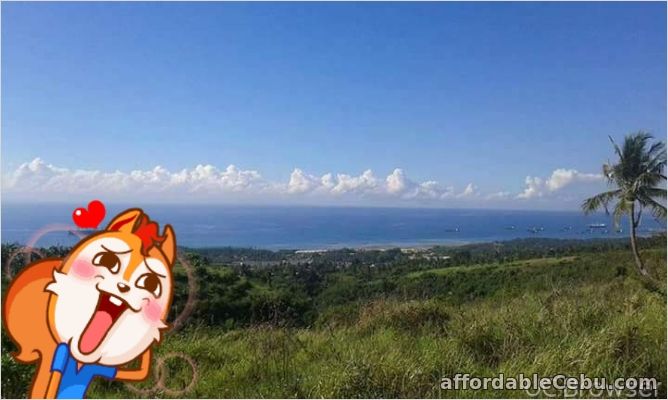 4th picture of lot for sale For Sale in Cebu, Philippines