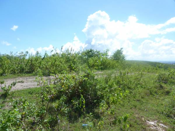 2nd picture of 1000SQM CATARMAN TAYUD LILOAN For Sale in Cebu, Philippines