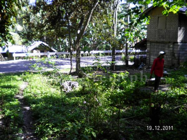 2nd picture of PHP 200/SQM ONLY LOT FORSALE! For Sale in Cebu, Philippines