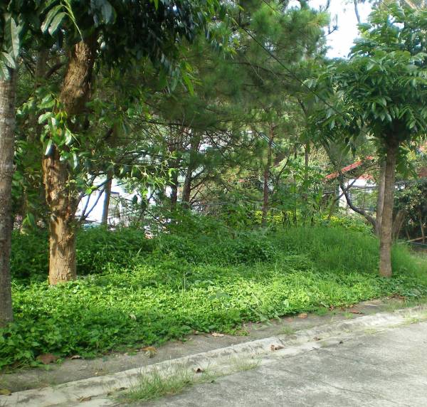 1st picture of 3050SQM CATARMAN TAYUD LILOAN For Sale in Cebu, Philippines