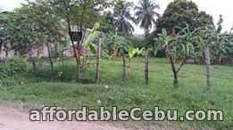 1st picture of For Sale Residential or Industrial Lot in Talisay City Cebu near SRP For Sale in Cebu, Philippines