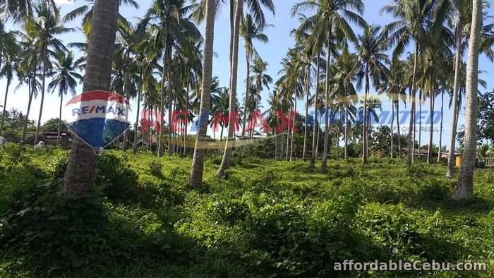 3rd picture of PADRE GARCIA BATANGAS FARM LOT FOR SALE For Sale in Cebu, Philippines