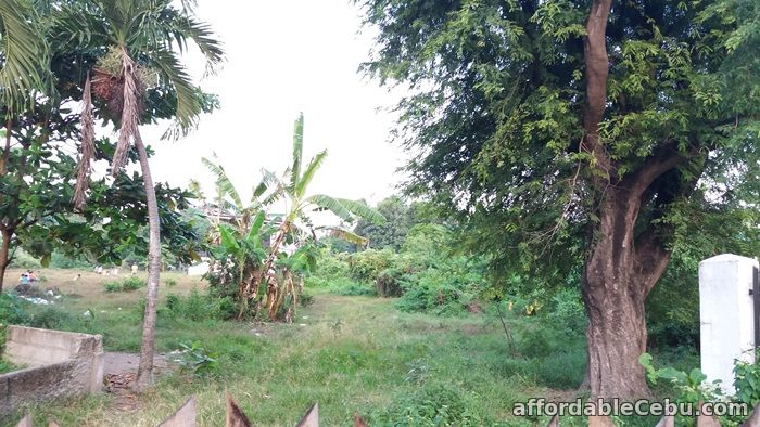 4th picture of Residential or Industrial Lot for sale near SRP Talisay City Cebu For Sale in Cebu, Philippines