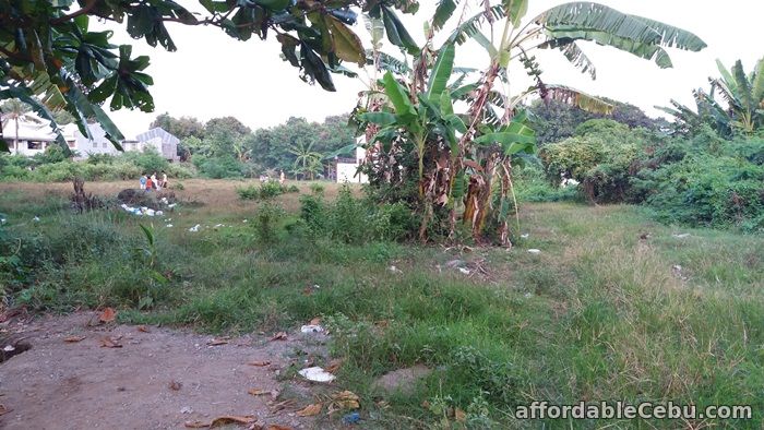 3rd picture of Residential or Industrial Lot for sale near SRP Talisay City Cebu For Sale in Cebu, Philippines