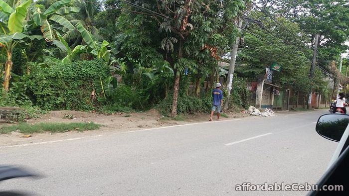 4th picture of For Sale Residential or Industrial Lot in Talisay City Cebu For Sale in Cebu, Philippines