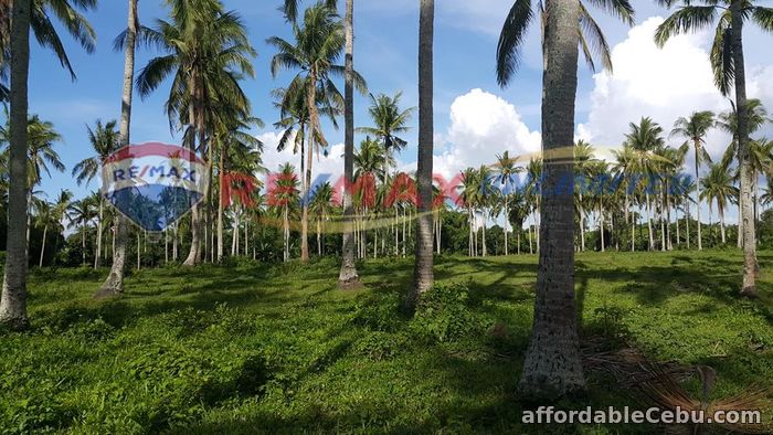 4th picture of PADRE GARCIA BATANGAS FARM LOT FOR SALE For Sale in Cebu, Philippines