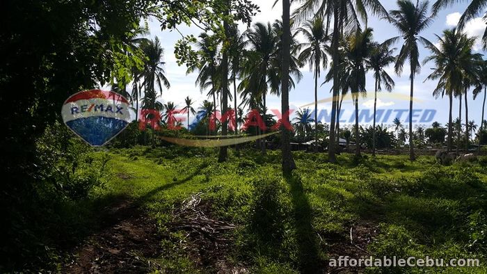 2nd picture of PADRE GARCIA BATANGAS FARM LOT FOR SALE For Sale in Cebu, Philippines