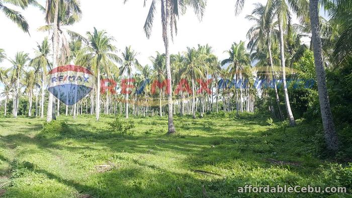 1st picture of PADRE GARCIA BATANGAS FARM LOT FOR SALE For Sale in Cebu, Philippines