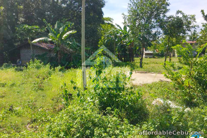 3rd picture of Aira Residences(LOT ONLY) Dapdap Catarman, Liloan, Cebu City For Sale in Cebu, Philippines