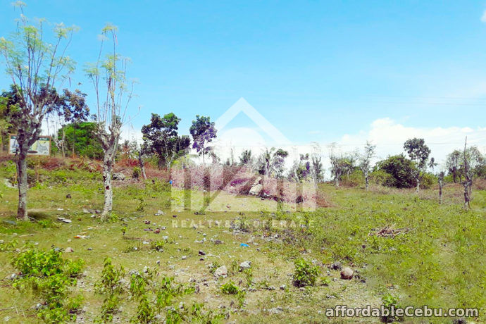 2nd picture of Greenview Subdivision(LOT ONLY) Can-asujan, Carcar City, Cebu For Sale in Cebu, Philippines