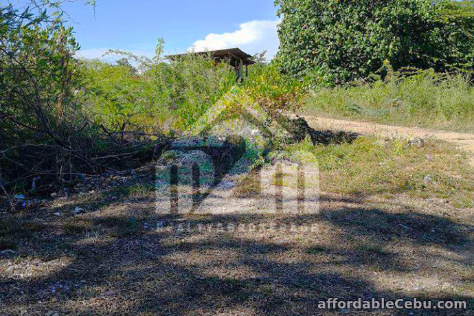 2nd picture of Tierra Rica Subdivision(LOT ONLY) Kalawisan, Lapu-Lapu City For Sale in Cebu, Philippines