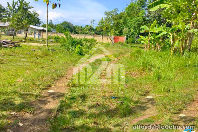 5th picture of Aira Residences(LOT ONLY) Dapdap Catarman, Liloan, Cebu City For Sale in Cebu, Philippines