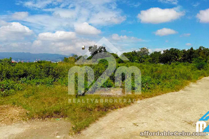 5th picture of Gracetin Ville(Lot Only) Canjulao, Lapulapu City, Cebu For Sale in Cebu, Philippines