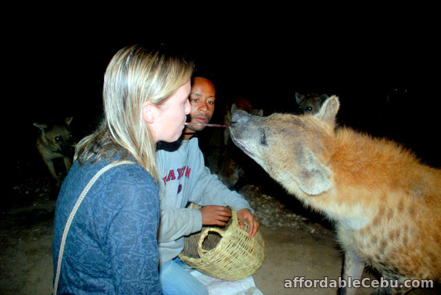 1st picture of THE  LAND OF ORIGIONS AND THE LAND OF HUMAN KIND TOUR Offer in Cebu, Philippines