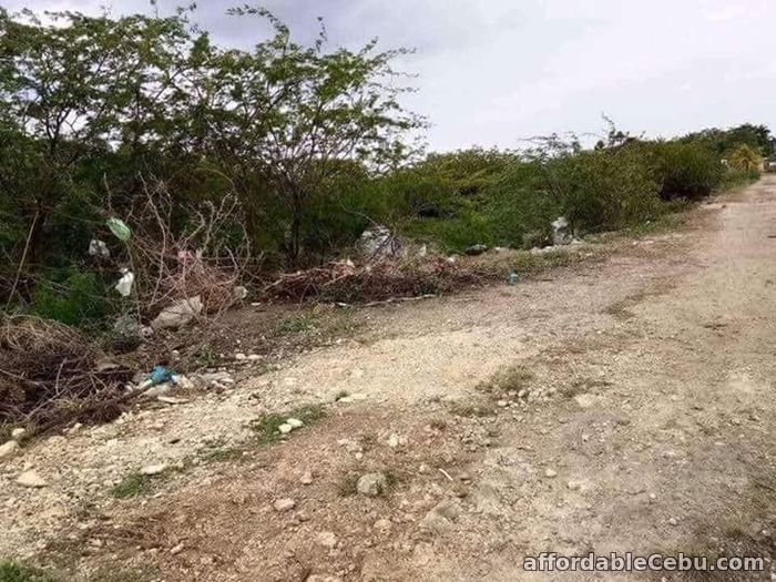 4th picture of Lot for sale in lapulapu For Sale in Cebu, Philippines