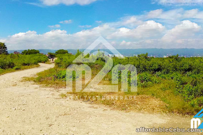 4th picture of Gracetin Ville(Lot Only) Canjulao, Lapulapu City, Cebu For Sale in Cebu, Philippines