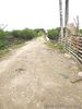 Cheap Lot only in Mactan (Kalawisan) by WELSTAND