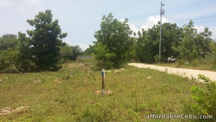 2nd picture of Land for sale For Sale in Cebu, Philippines
