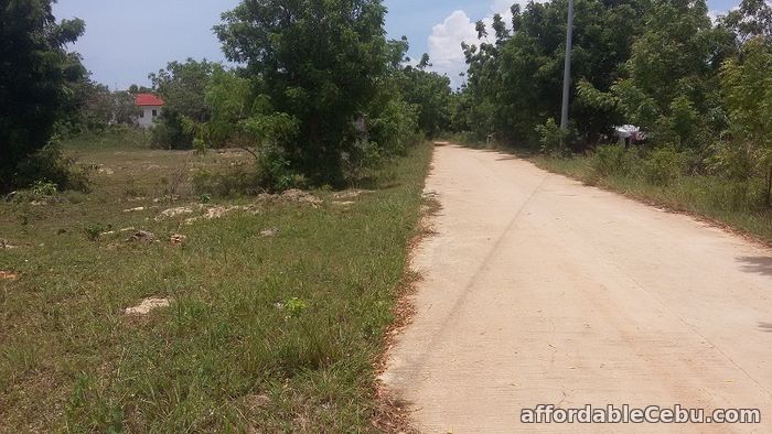 3rd picture of Land for sale For Sale in Cebu, Philippines
