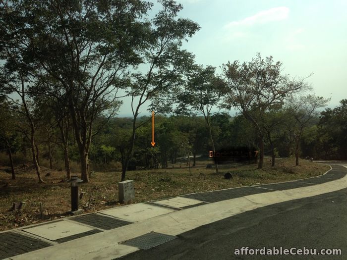3rd picture of Anvaya Cove Lot for Sale in Mango Grove For Sale in Cebu, Philippines